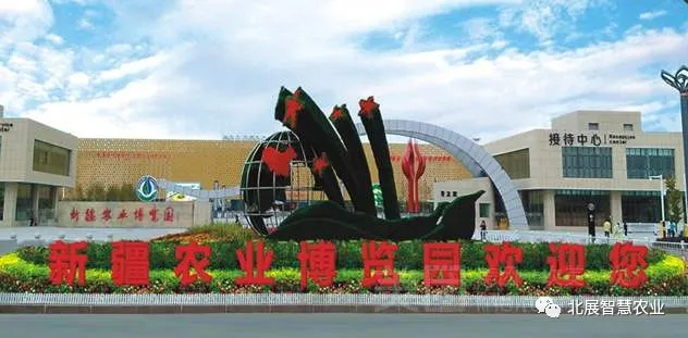 图片4