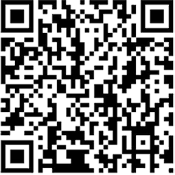 图片12