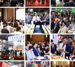 2022上海咖啡展