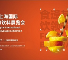 2022中食展/2022休闲食品展 中食展，2022食品展