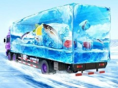 2023第11届深圳电子信息展览会