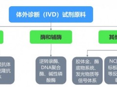 2023武汉国际检验医学大会暨体外诊断试剂展览会 检验医学，体外诊断试剂