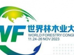 2023（广西）世界林木业大会暨世界人造板博览会展位预定中