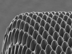 2026激光焊接展|激光切割展—机器人+激光引领行业风向标