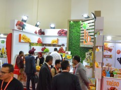 2026年拉丁美洲食品贸易博览会FITHEP