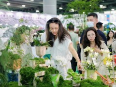 园林绿化展2027亚洲园林景观产业博览会-园林园艺展会
