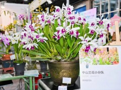 2027第17届中国国际花卉产业博览会 2027人造花展，花盆展，花瓶展，干花展，永生花展，花卉种植展，花卉盆栽展，花卉技术展会，盆栽植物展