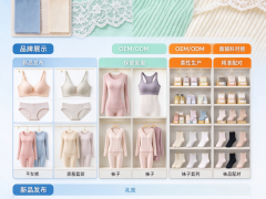 2027北京国际品牌内衣展览会/北京内衣袜子展会